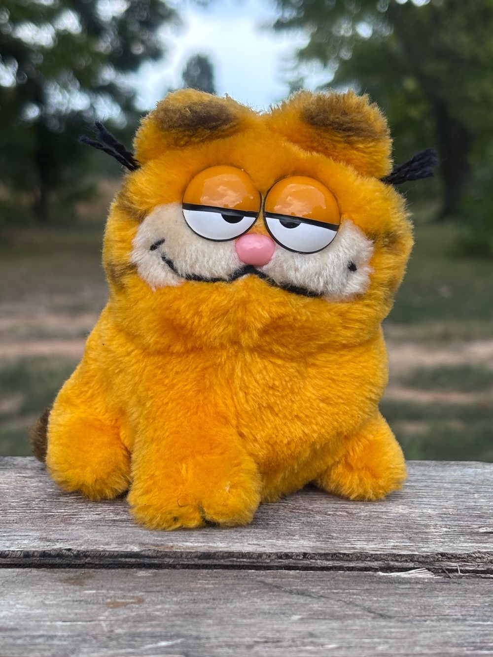 Vintage 1981 Dakin Sleep Eyed Garfield Plush!
